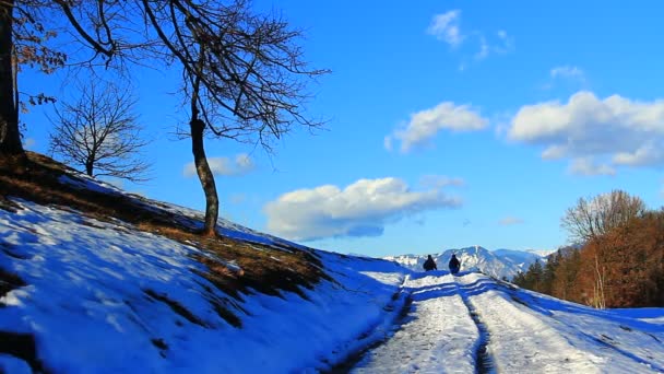 Paisaje invernal con gente — Vídeo de stock