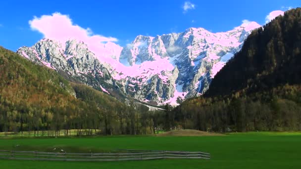 Meadow and mountains on sunny day — Stock Video