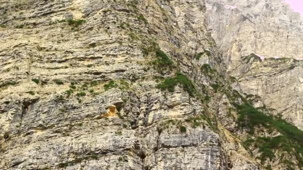 Vista del acantilado de la montaña — Vídeo de stock