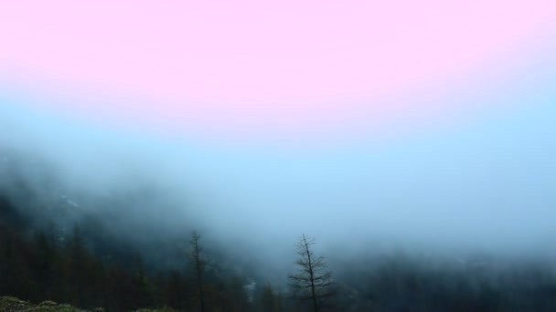 Nebbia mattutina in montagna — Video Stock