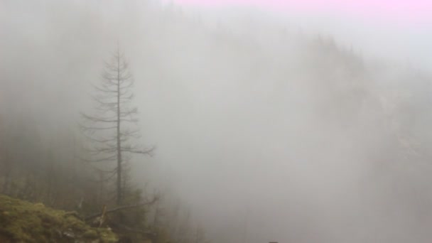 Niebla de la mañana en las montañas — Vídeos de Stock