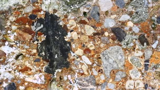 Textura da parede de pedra velha — Vídeo de Stock