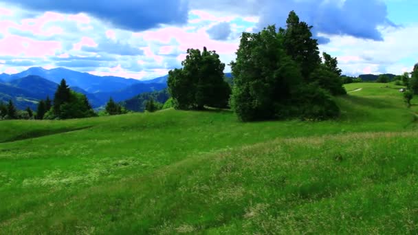 Día de verano en las altas montañas — Vídeos de Stock