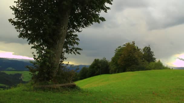 Árbol solitario en la colina — Vídeos de Stock