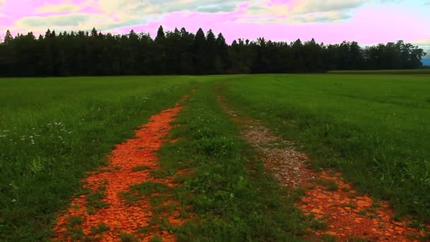 Земляна дорога з калюжами — стокове відео