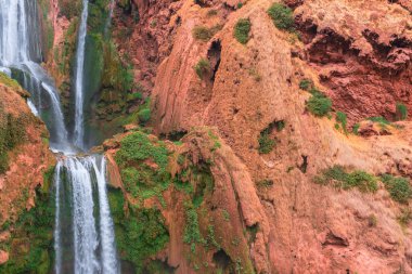 Ouzoud,: Azilal, Morocco güzel şelale. Grand Atlas