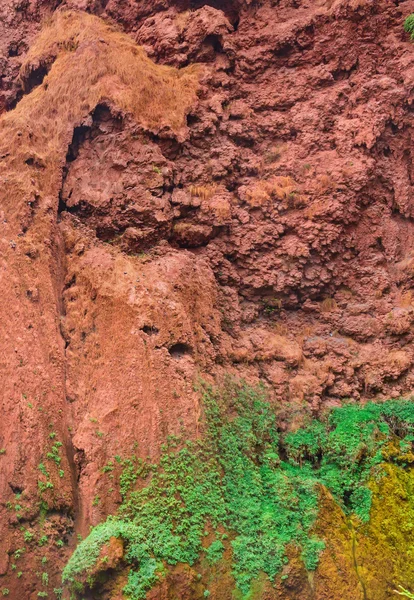 Rock in Marokko van rode klei met planten groeien op het. Nearl waterval in Ouzoud Azilal, Morocco, Grand Atlas — Stockfoto