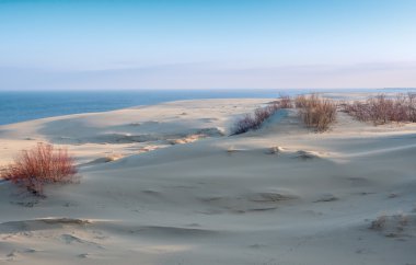 Curonian Spit, kum tepeleri bakış açısı