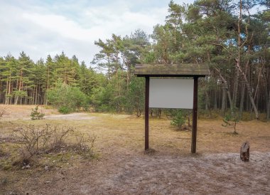 Bilgin olsun ormandaki imzalamak