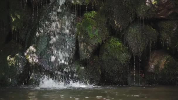 Video Rallentatore Una Cascata Che Scorre Tra Pietre Muschiate Spruzzi — Video Stock