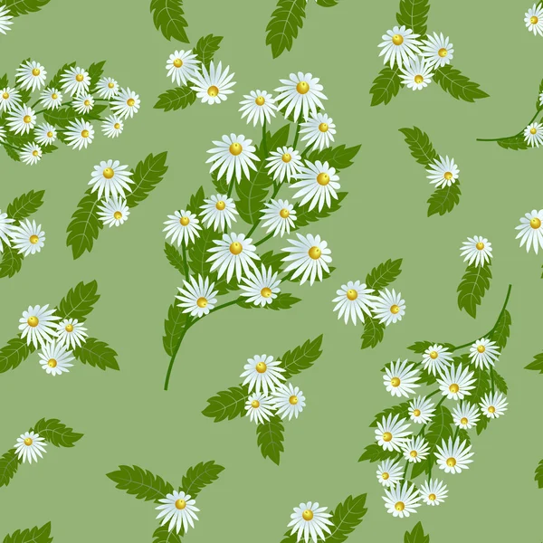 Pattern white daisies — Stock Vector