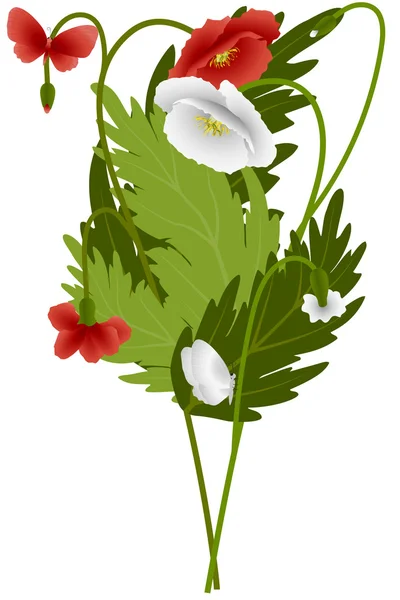 Rote und weiße Mohnblumen und Schmetterlinge — Stockvektor
