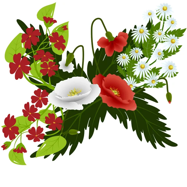 Amapolas rojas y blancas con margaritas — Vector de stock