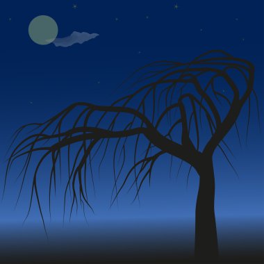 ağaç gece gökyüzüne karşı