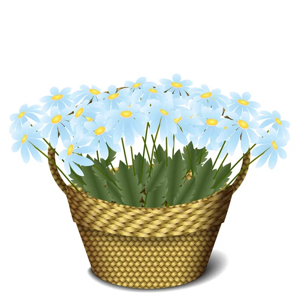 Panier avec marguerites — Image vectorielle