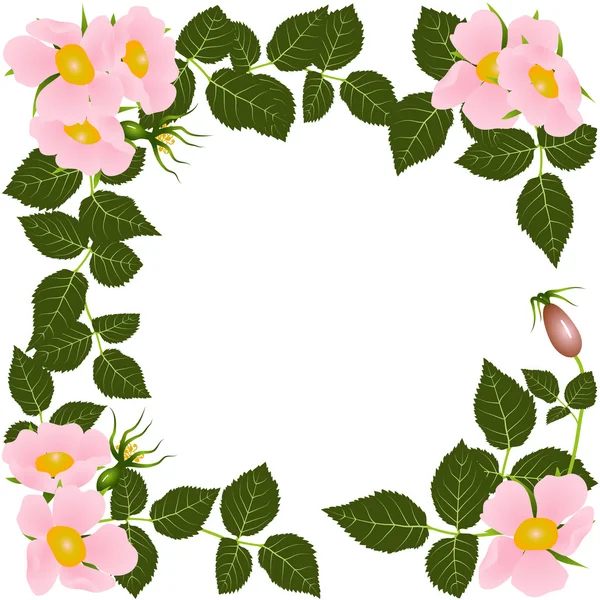 Floreciente postal rosa salvaje — Vector de stock