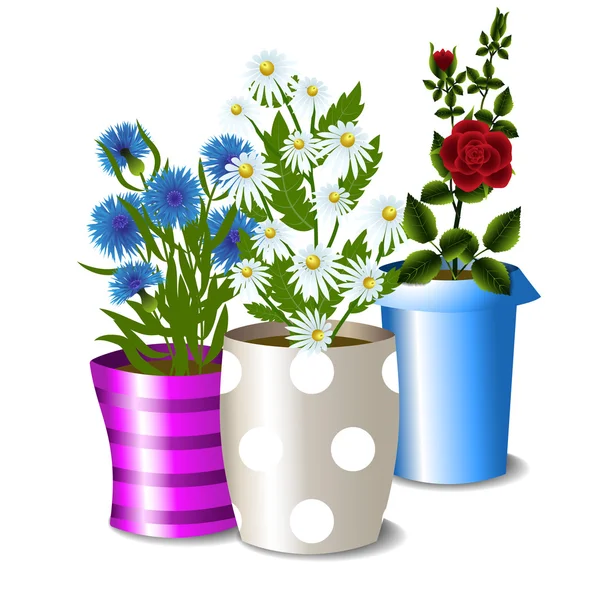 Pots avec fleurs — Image vectorielle