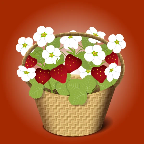 Panier avec des fleurs de fraises — Image vectorielle