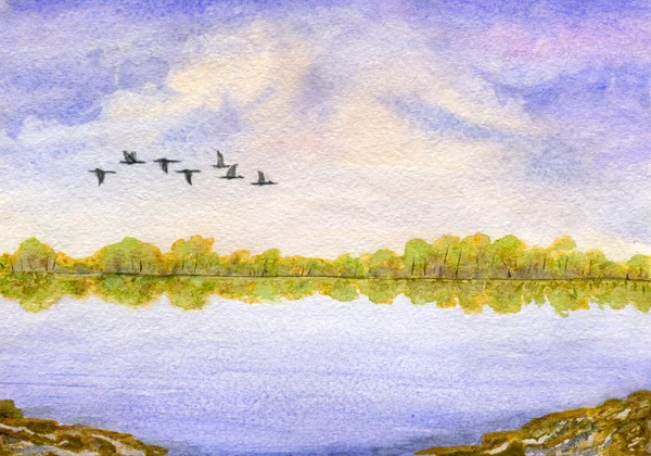 湖と鳥 — ストック写真