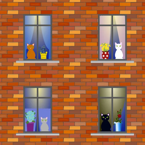 Кішки у вікнах будинку — стоковий вектор