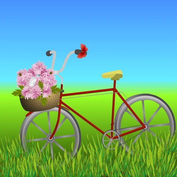 Bicicleta con cesta de crisantemos — Vector de stock