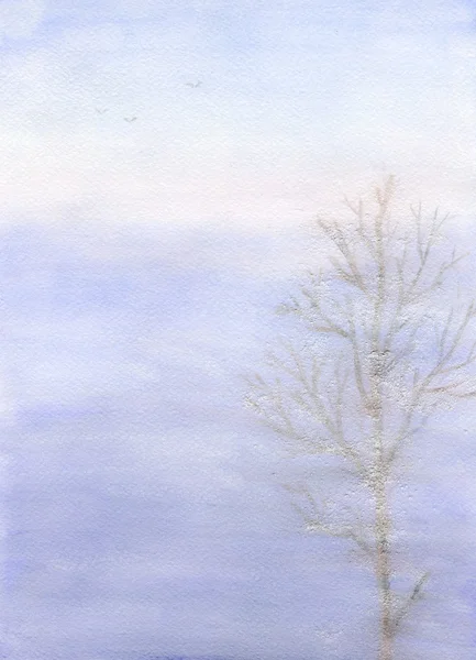 Strom v mlze — Stock fotografie