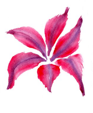 kırmızı yapraklar