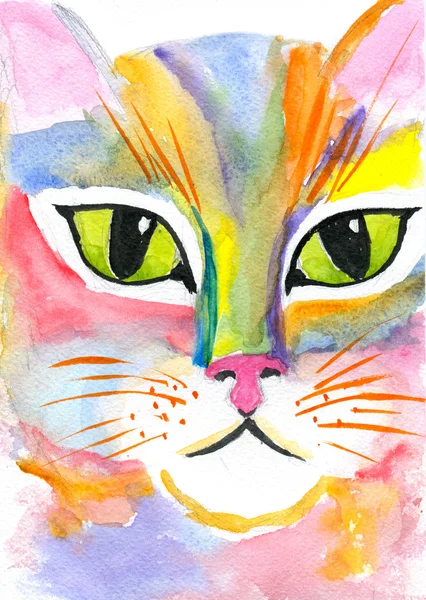 Olhos de Gatos Fotografias De Stock Royalty-Free