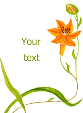 Turuncu lily
