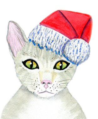Noel Baba kedi