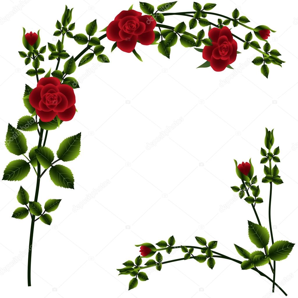 Branch of red roses
