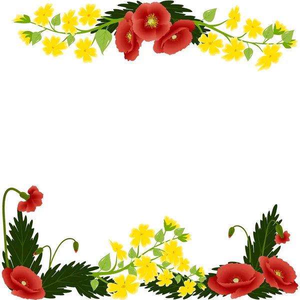 Poppies and buttercups — Stock Vector