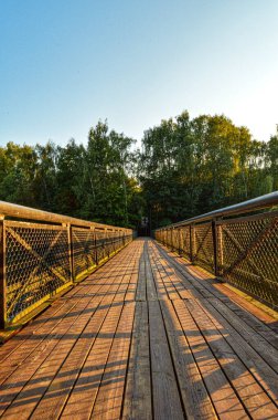 Zarechye Parkı 'ndaki köprü sadece güvenli ve kullanışlı bir geçiş sağlamıyor aynı zamanda tükenmez bir ilham kaynağıyım..