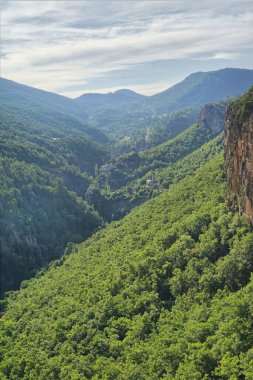 Yaz mevsiminde orman dağlarının güzel doğal manzarası. Yağmur ormanlarının ekosistemi, orman dağları. Doğal tropik yeşil orman manzarası. Seyahat fotoğrafı, kimse yok. Yüksek kalite fotoğraf