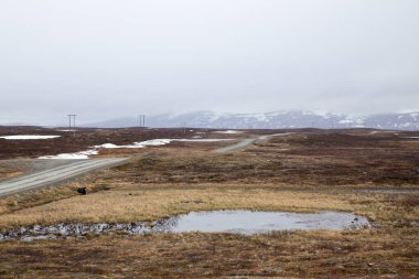 Flatruet Dağı üzerinde çakıl yolu, Harjedalen, İsveç.
