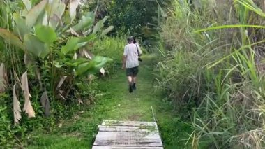 Kuş gözlemcileri Orta Amerika 'nın batı Kosta Rika' daki Hacienda Baru ovalarında bir patika üzerindeler..