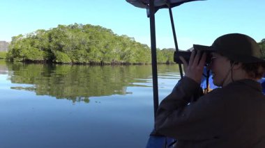 Orta Amerika 'nın kuzeyinde La Ensenada yakınlarında Pasifik Okyanusu kıyısındaki Mangrove ormanında tekne gezisi..
