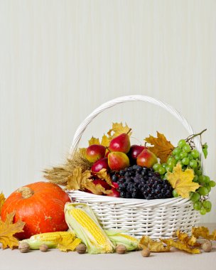 Şükran günü. Natürmort kabaklar ve Mısır, üzüm ve nu