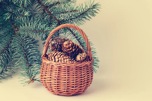 Noel kartı. Yeşil çam dalları karşı koniler ile sepeti.