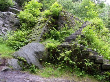 Adrszpach Teplice çek