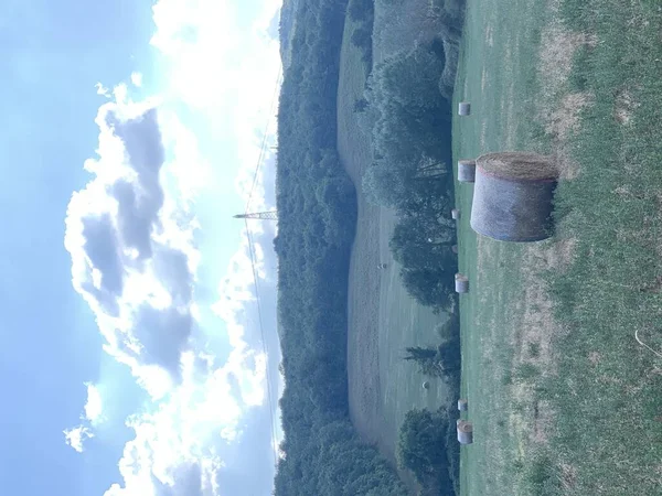 Otların üzerindeki saman yığınları