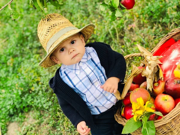 Bahçedeki Elmalı Çocuk Seçici Odak — Stok fotoğraf