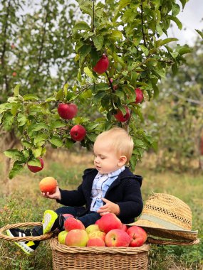 Elma bahçesindeki oğul asistanı..