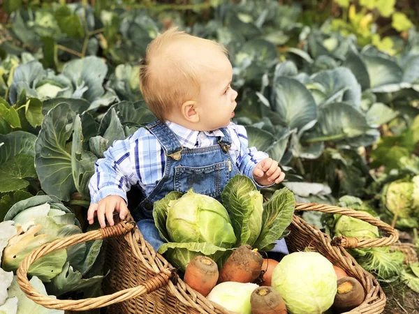 Çocuk Küçük Bir Çiftçi Çiftlik Asistanı — Stok fotoğraf