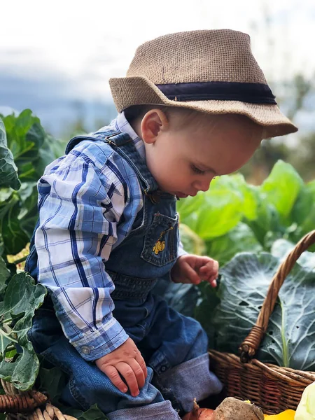 Het Kind Een Kleine Boer Landbouwassistent — Stockfoto