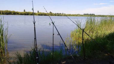 Balık oltası. dinlenme, balık, kanca, dönme. Seçici odak