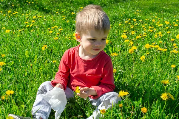 Child Picks Sniffs Flowers Spring Allergy — Stock Photo, Image