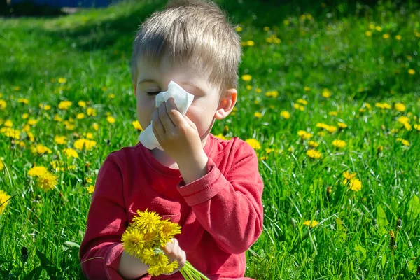 Niño Recoge Huele Flores Primavera Alergia — Foto de Stock