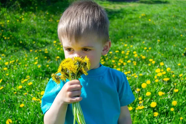 Bambino Raccoglie Annusa Fiori Primavera Allergia — Foto Stock