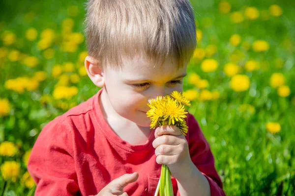 Niño Recoge Huele Flores Primavera Alergia —  Fotos de Stock
